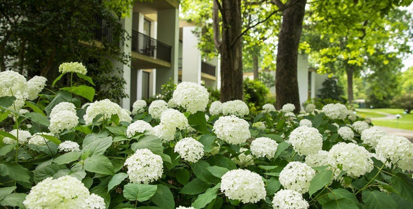 Griffin Hotel, An Official Colonial Williamsburg Hotel Экстерьер фото